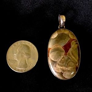 Mushroom Jasper Pendant